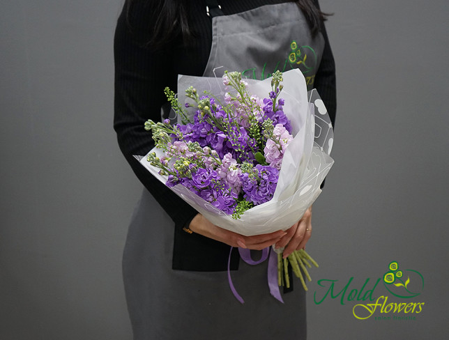 Bouquet of purple and lilac stock flowers photo